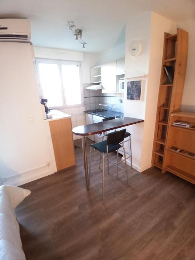 Studio Santa Monica - Climatise - Piscine - Parking Τουλούζη Εξωτερικό φωτογραφία